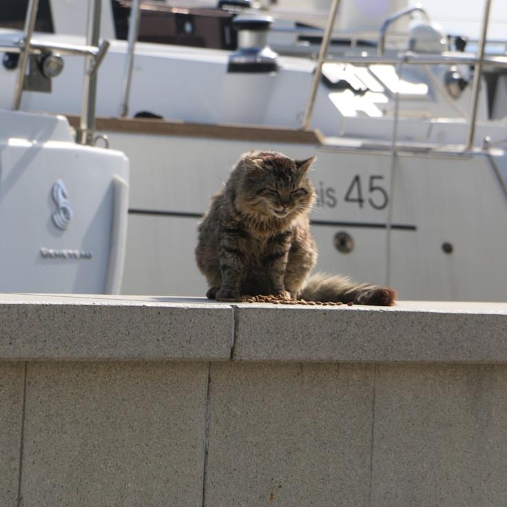 Adventure on the high seas